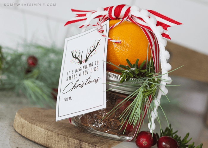 Christmas Stove Top Potpourri